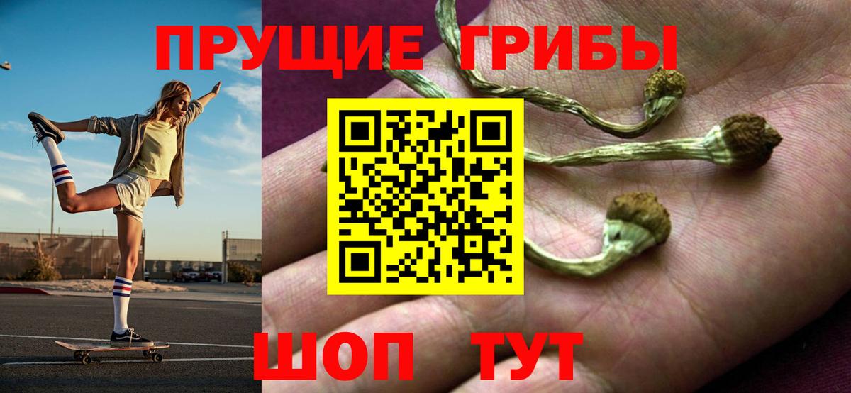 Галлюциногенные грибы прущие грибы Вязники