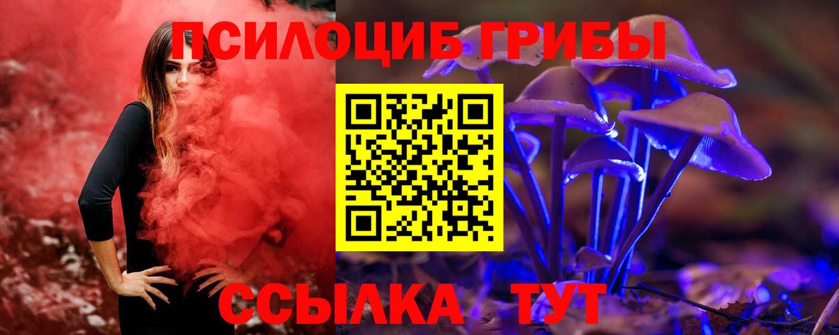 Псилоцибиновые грибы Psilocybine cubensis  Вход с VPN  Галлюциногенные грибы мухоморы  Вязники 